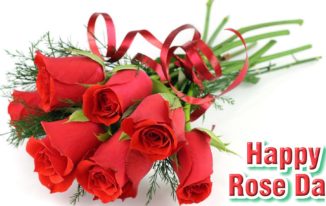 Rose Day 