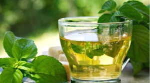 green-tea healthy