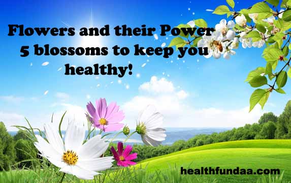 Flowers and their Power:  5 blossoms to keep you healthy!