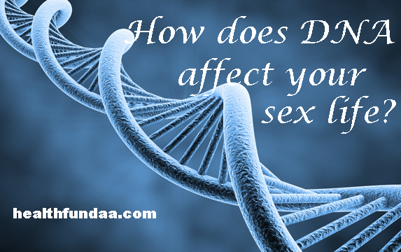 How does DNA affect your sex life?