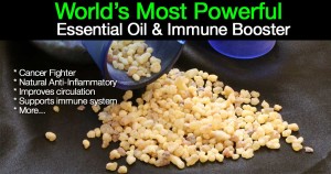 frankincense benefits of essential oils