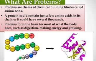 What are Proteins