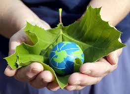 World Environment Day 