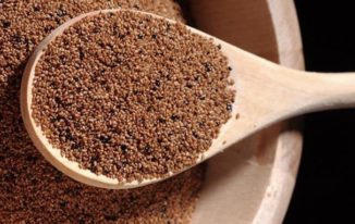 teff High Protein Foods