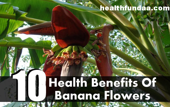 10 Amazing Health Benefits of Banana Flowers