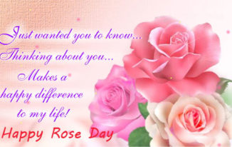 Rose Day 