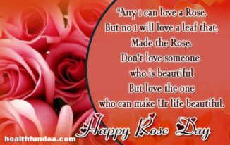 Rose Day 2018 – Significance of rose colors and unique ideas to celebrate it